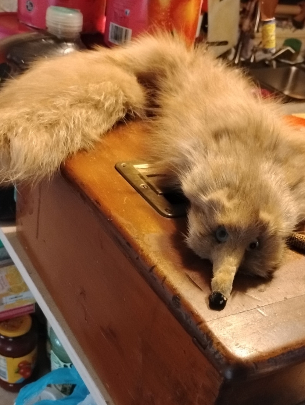 Full Pelt Red Fur Fox Stole Wrap with Head& Tail
